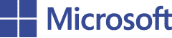 MICROSOFT LOGO PARTNER